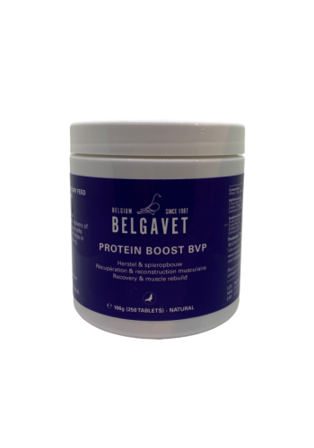 proteinboost