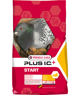 start plus ic