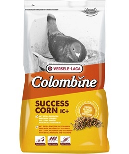 succescorn