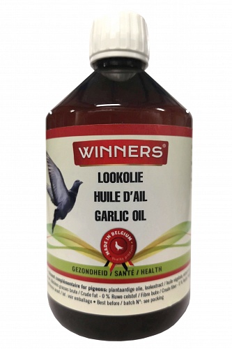 winnerslookolie