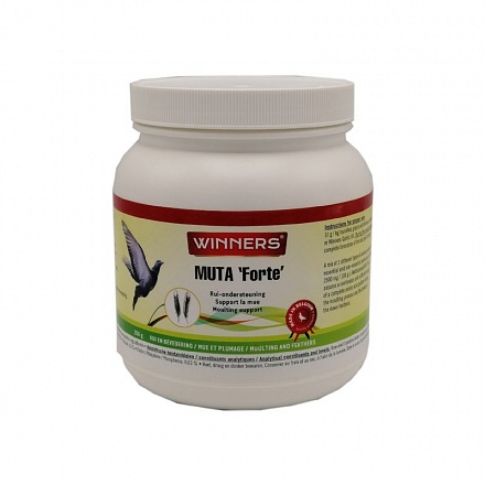 winnersmutaforte