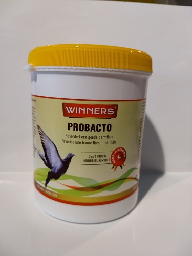 winnersprobacto